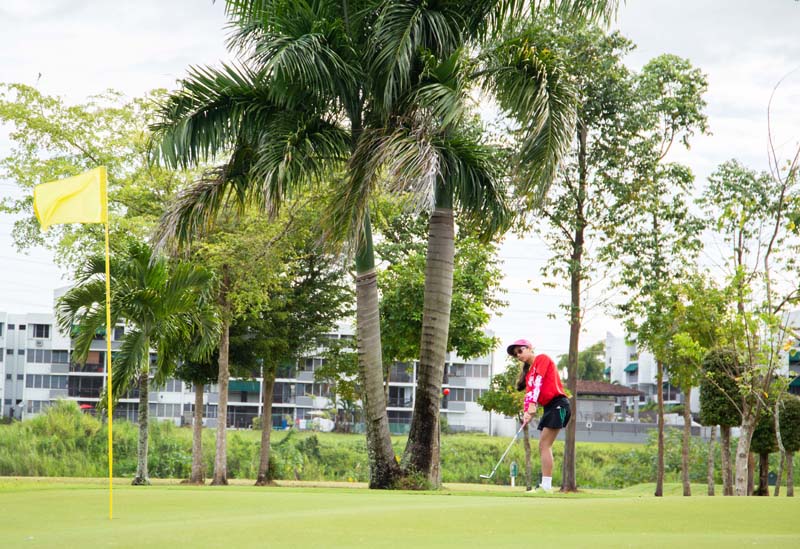 Female student practicing golf on tropical course with palm trees