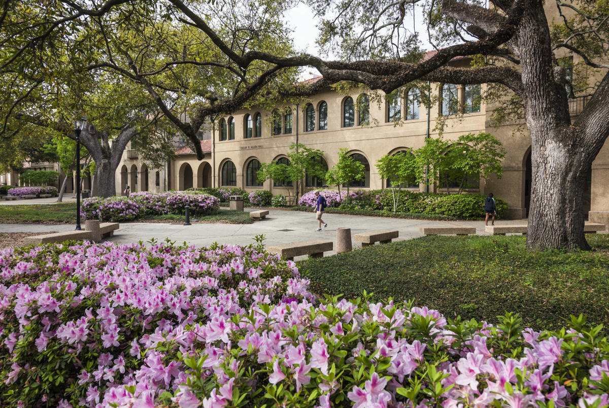 Italian Renaissance-style building with arched walkways, pink azaleas blooming, and sprawling live oak trees
