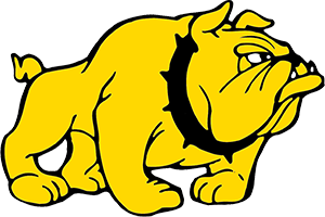 Gold bulldog mascot illustration in aggressive stance with black collar