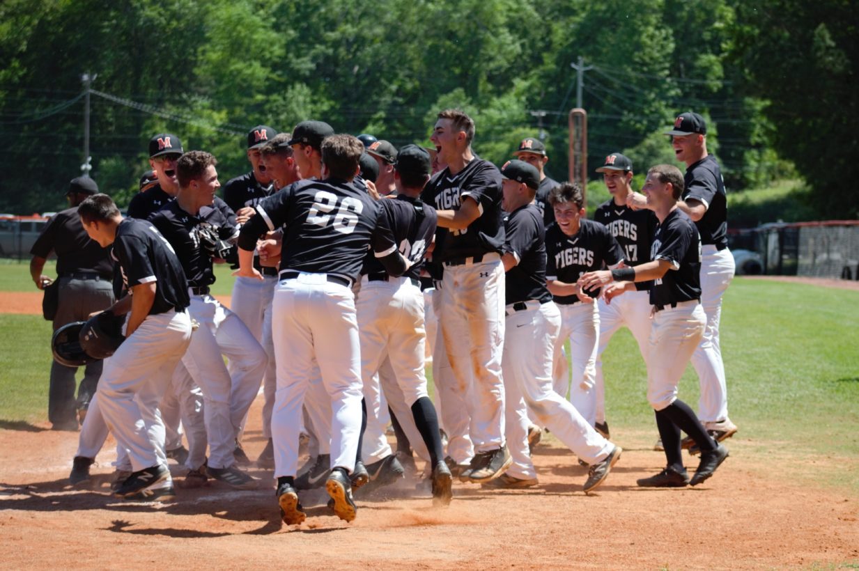 Tigers baseball team in black jerseys and white pants celebrating victory on diamond with excited group huddle