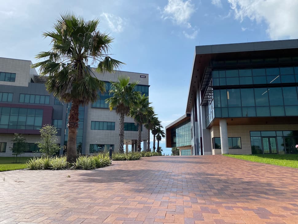 Modern campus buildings with glass facades and palm trees along brick walkway under blue sky